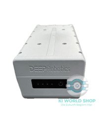DEEP Robotics SID1 Batterie Tiefentladeschutz