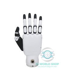 Dexterous Robotic Hands RH56DFX