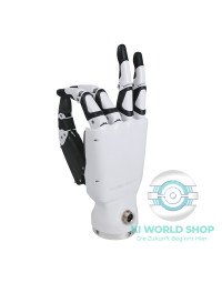 Dexterous Robotic Hand RH56BFX