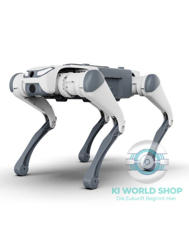 DEEP Robotics SID1 Basic Roboterhund