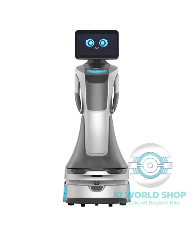 OrionStar GreetingBot Nova EDU Sprachinteraktion