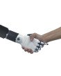 Dexterous Robotic Hands RH56DFX