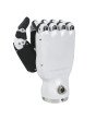 Dexterous Robotic Hands RH56DFX