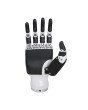 Dexterous Robotic Hands RH56DFX
