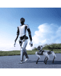 MagicBot Gen1 humanoider Roboter und MagicDog Roboterhund beim Spaziergang auf Asphaltweg mit Natur- und Himmelskulisse