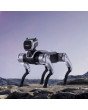 MagicDog Roboterhund in Felsenlandschaft bei Sonnenaufgang – Einsatz im Außenbereich