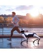 MagicDog EDU Roboterhund joggt neben einem Mann am Flussufer – intelligenter Fitnessbegleiter für den Outdoor-Einsatz