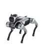 MagicDog Roboterhund aus der Vogelperspektive mit eleganter Gehäuseform und Brillen-Animation im Display