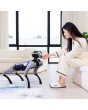 Frau interagiert mit MagicDog EDU KI-Roboterhund im Wohnzimmer