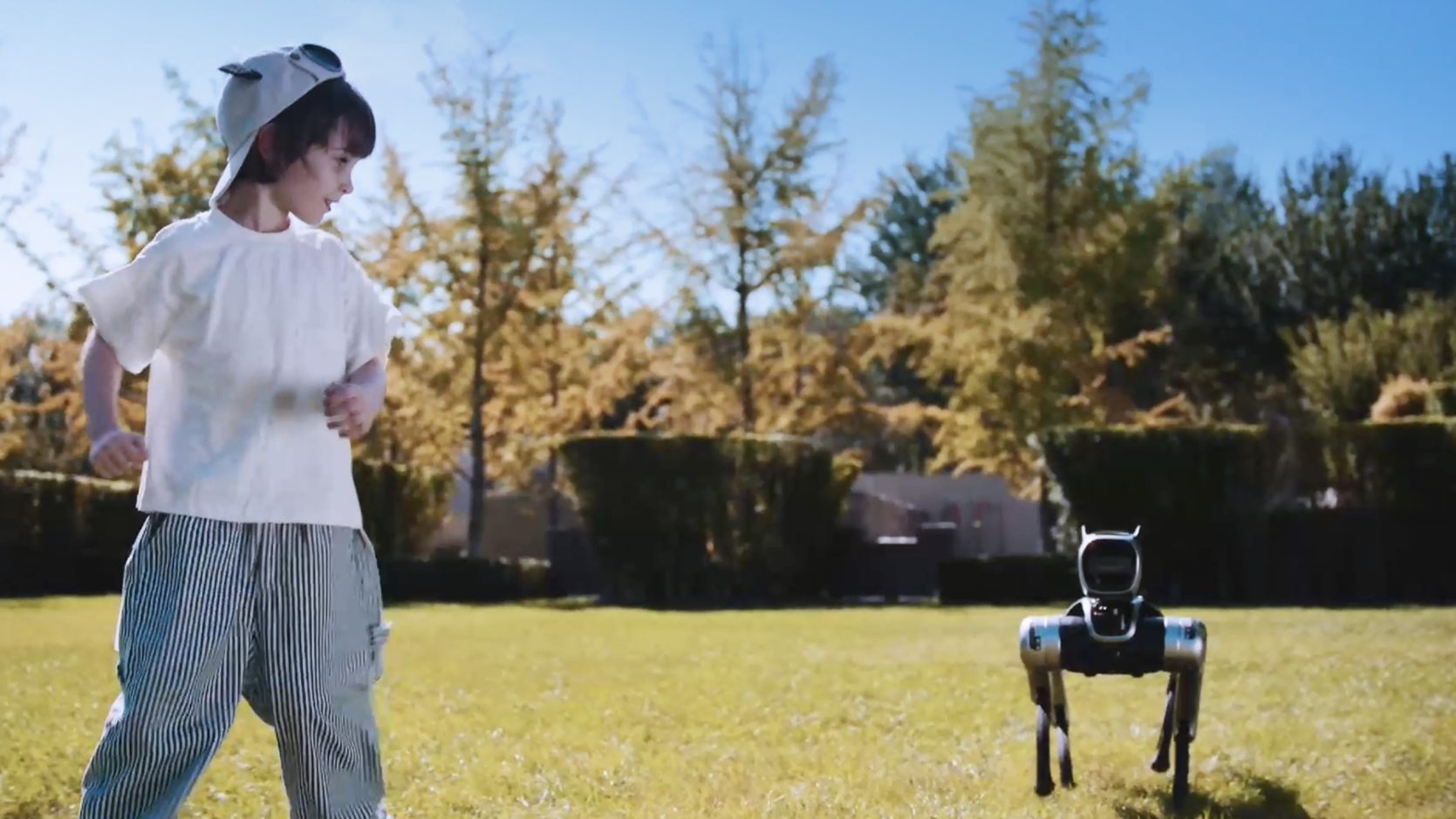 Kind spielt auf der Wiese mit dem KI-gestützten Roboterhund Magicdog EDU bei sonnigem Wetter
