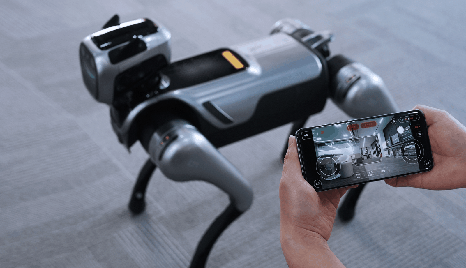 Nahaufnahme des Magicdog EDU Roboterhundes, der über eine Smartphone-App gesteuert wird