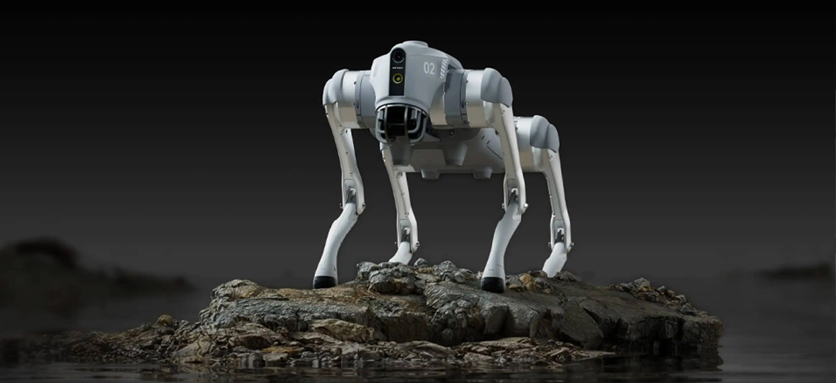 Unitree Go2 Pro Roboterhund steht auf einem felsigen Untergrund in dunkler Umgebung