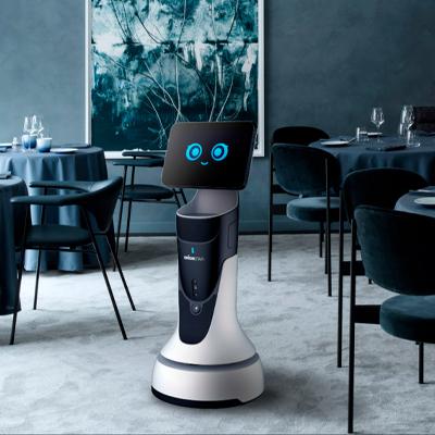 Orionstar Greetingbot Mini Educational Robot