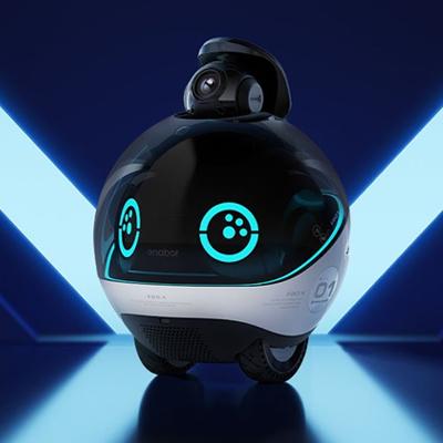 Enabot Ebo X Family Companion Robot