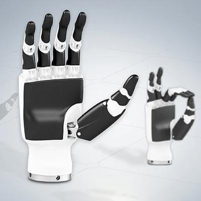 Dexterous Robotic Hands RH56DFX Model